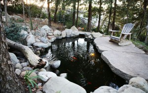 concrete fishpond socal